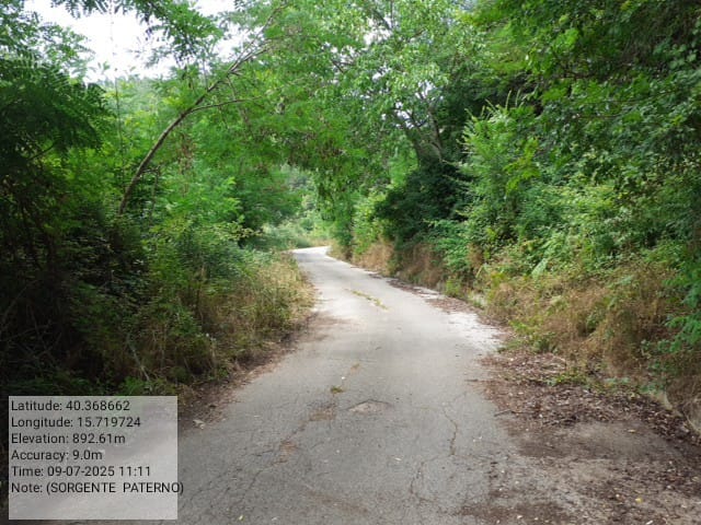 Galleria Fotografica Immagine