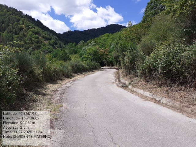 Galleria Fotografica Immagine