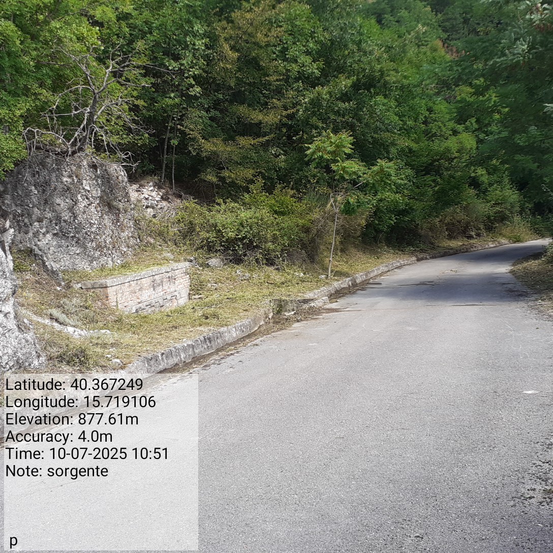 Galleria Fotografica Immagine