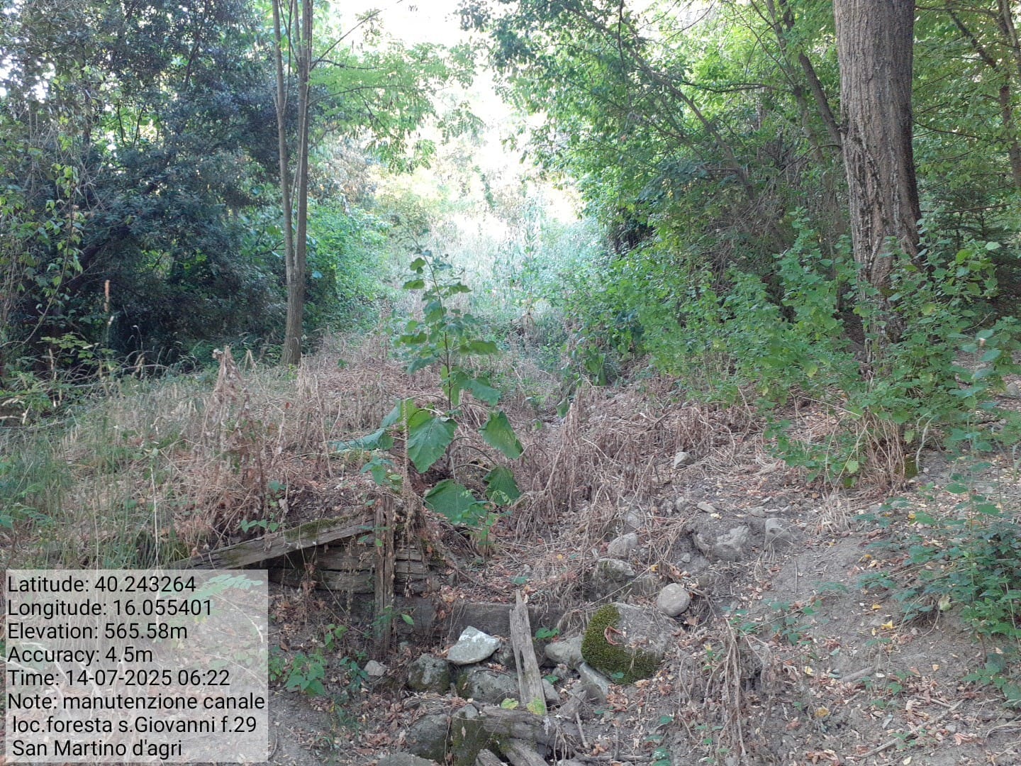 Galleria Fotografica Immagine