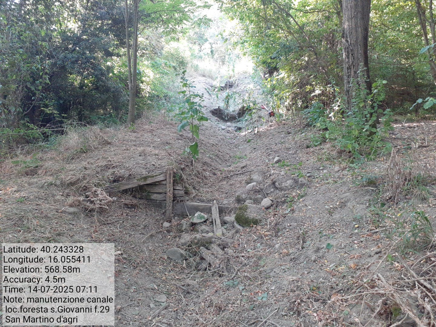 Galleria Fotografica Immagine