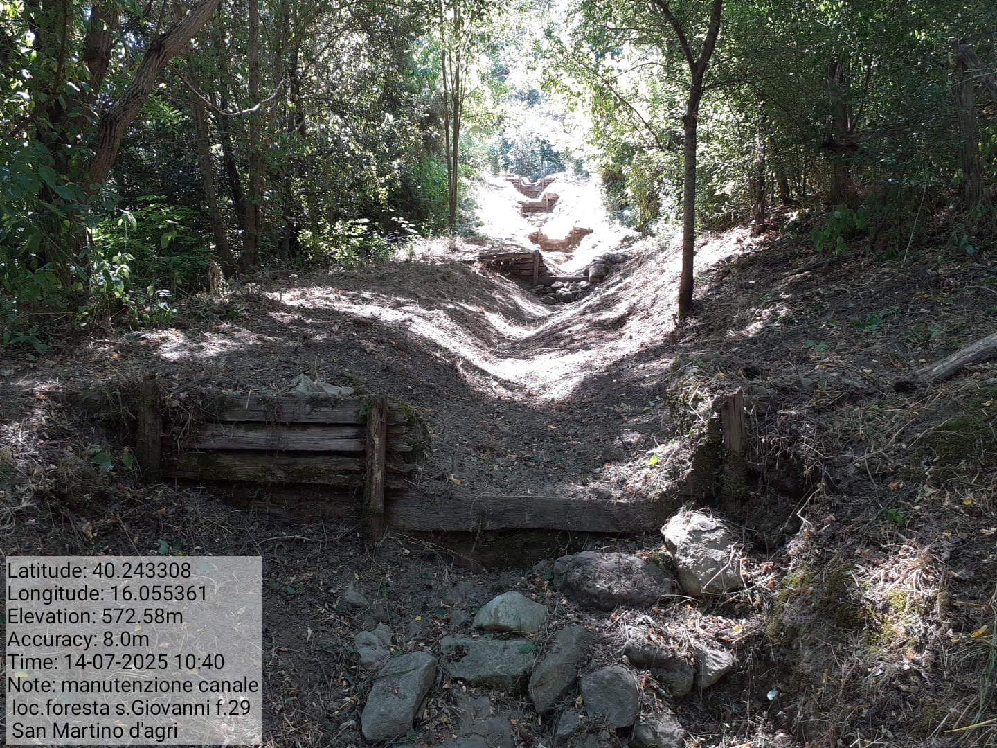 Galleria Fotografica Immagine