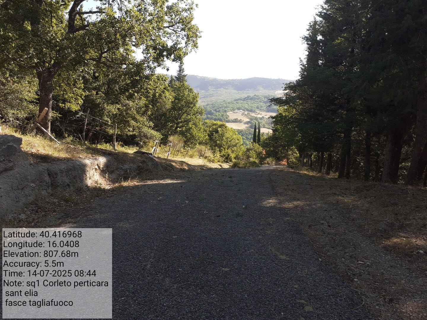 Galleria Fotografica Immagine