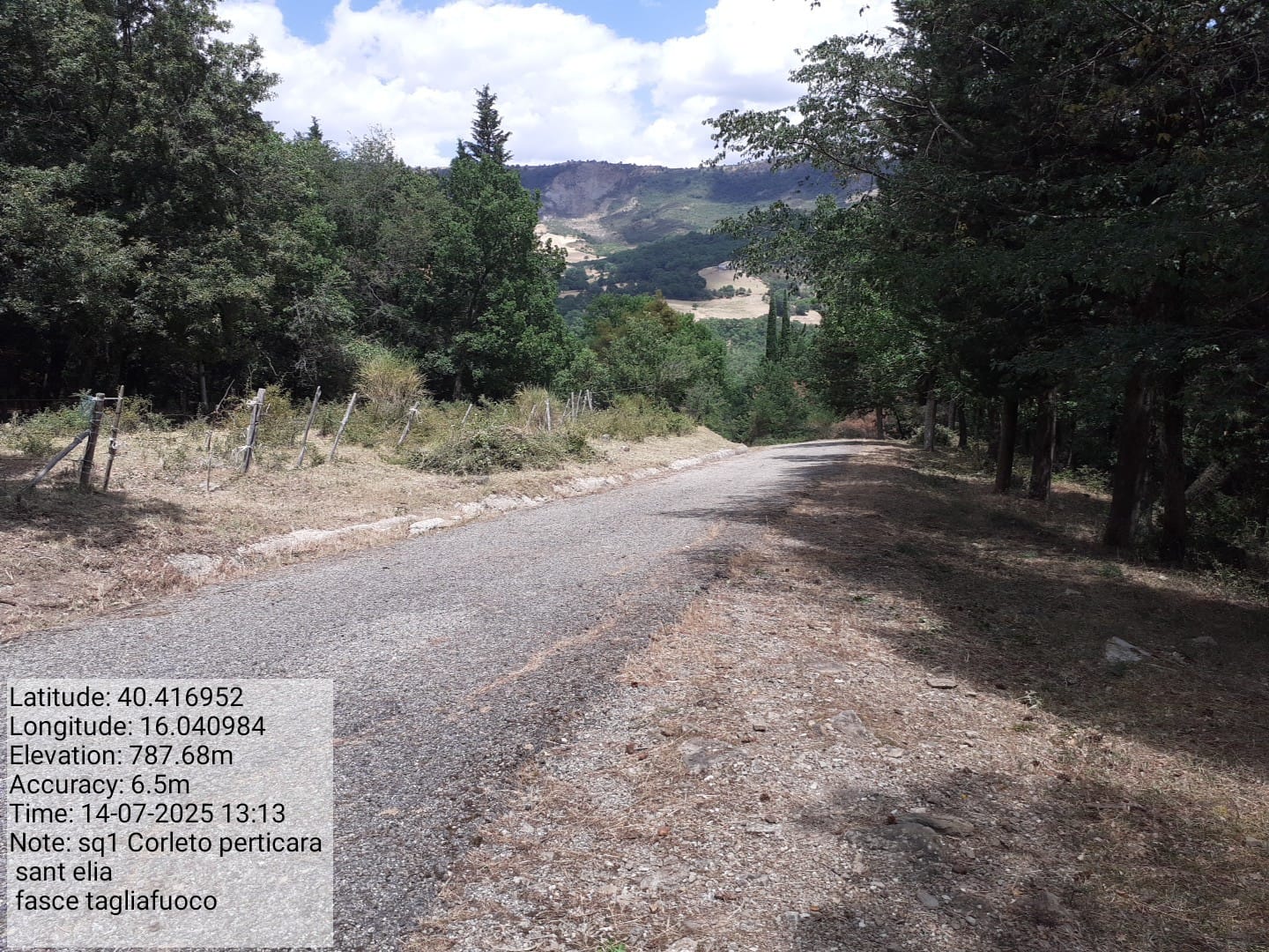 Galleria Fotografica Immagine