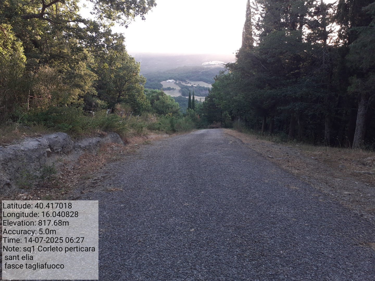 Galleria Fotografica Immagine