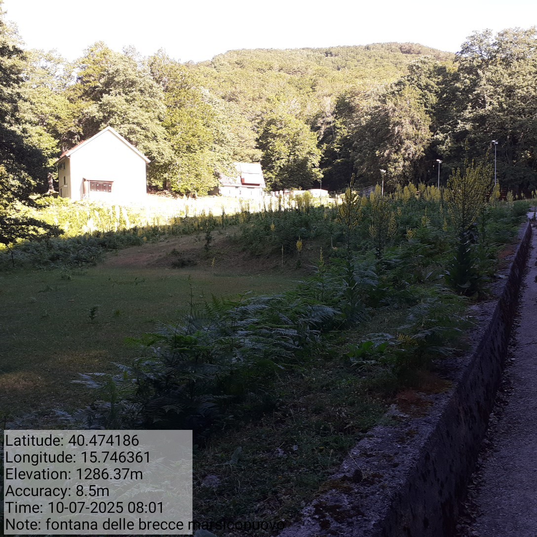 Galleria Fotografica Immagine