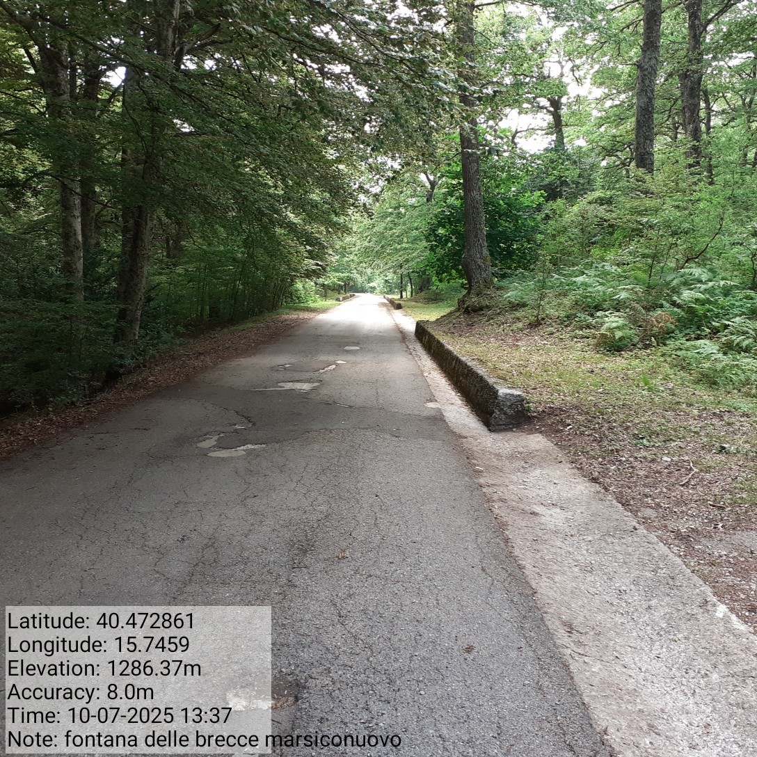 Galleria Fotografica Immagine