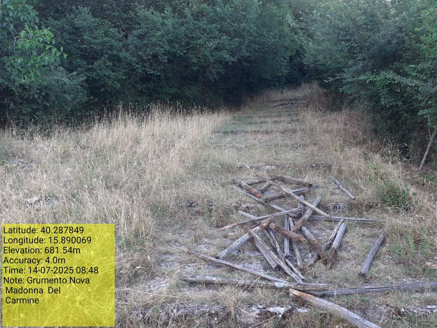 Galleria Fotografica Immagine