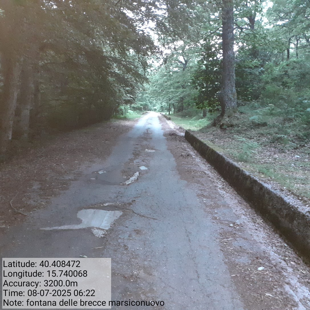 Galleria Fotografica Immagine