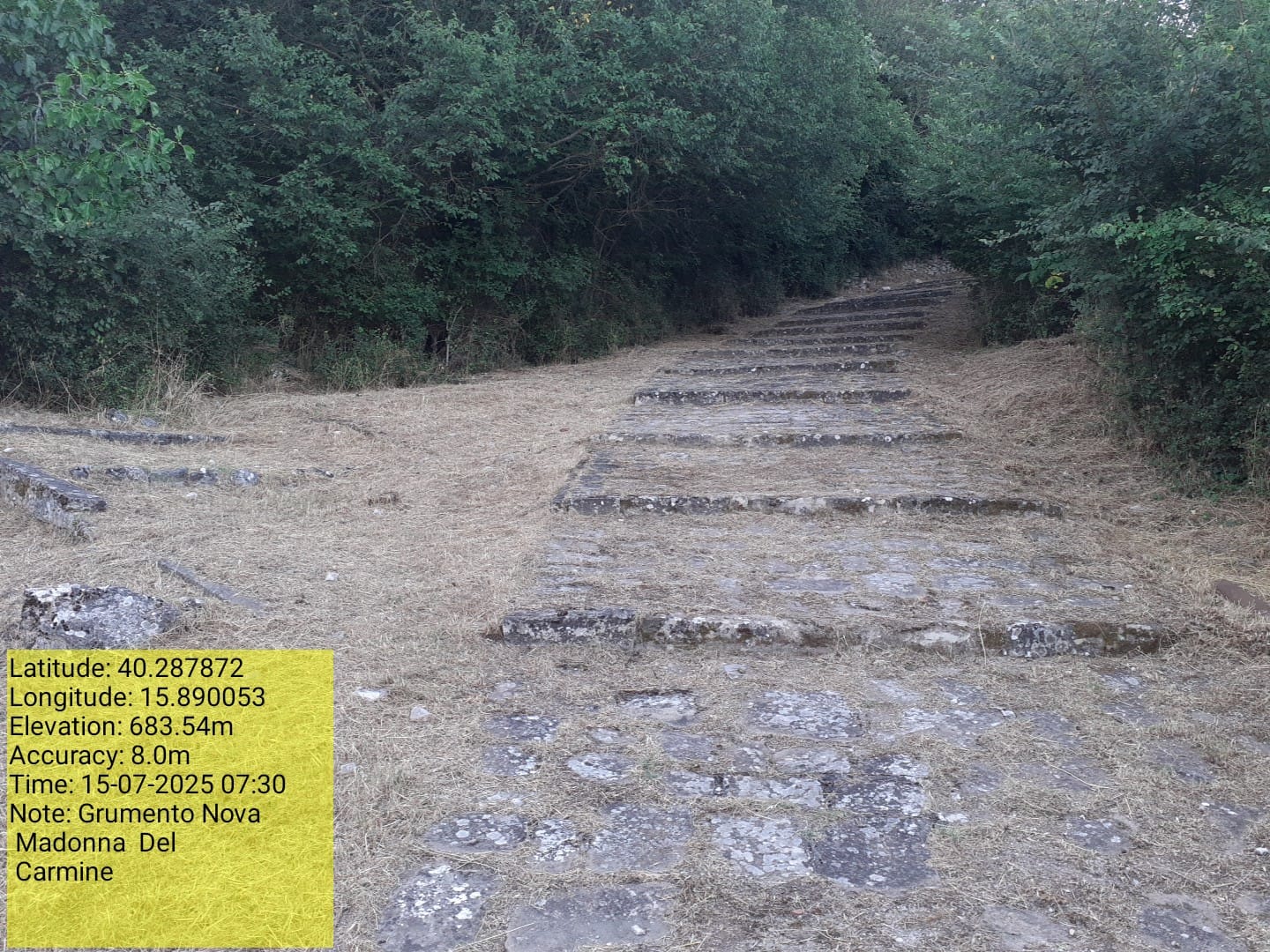 Galleria Fotografica Immagine