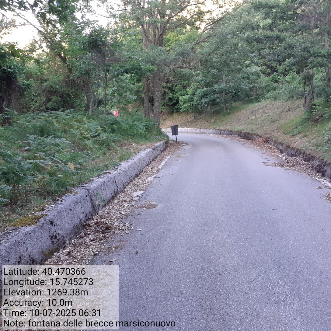 Galleria Fotografica Immagine