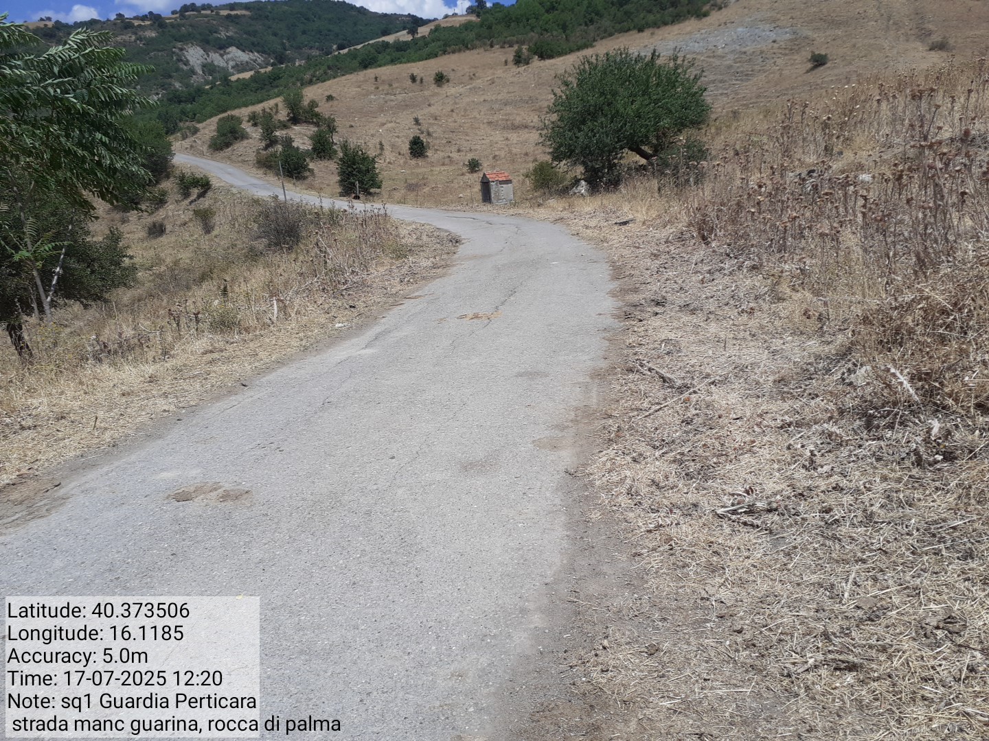 Galleria Fotografica Immagine