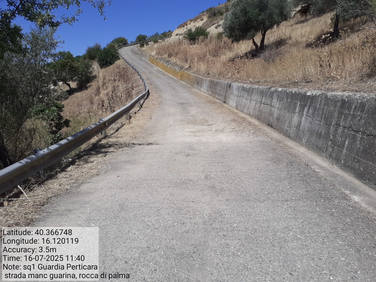 Galleria Fotografica Immagine