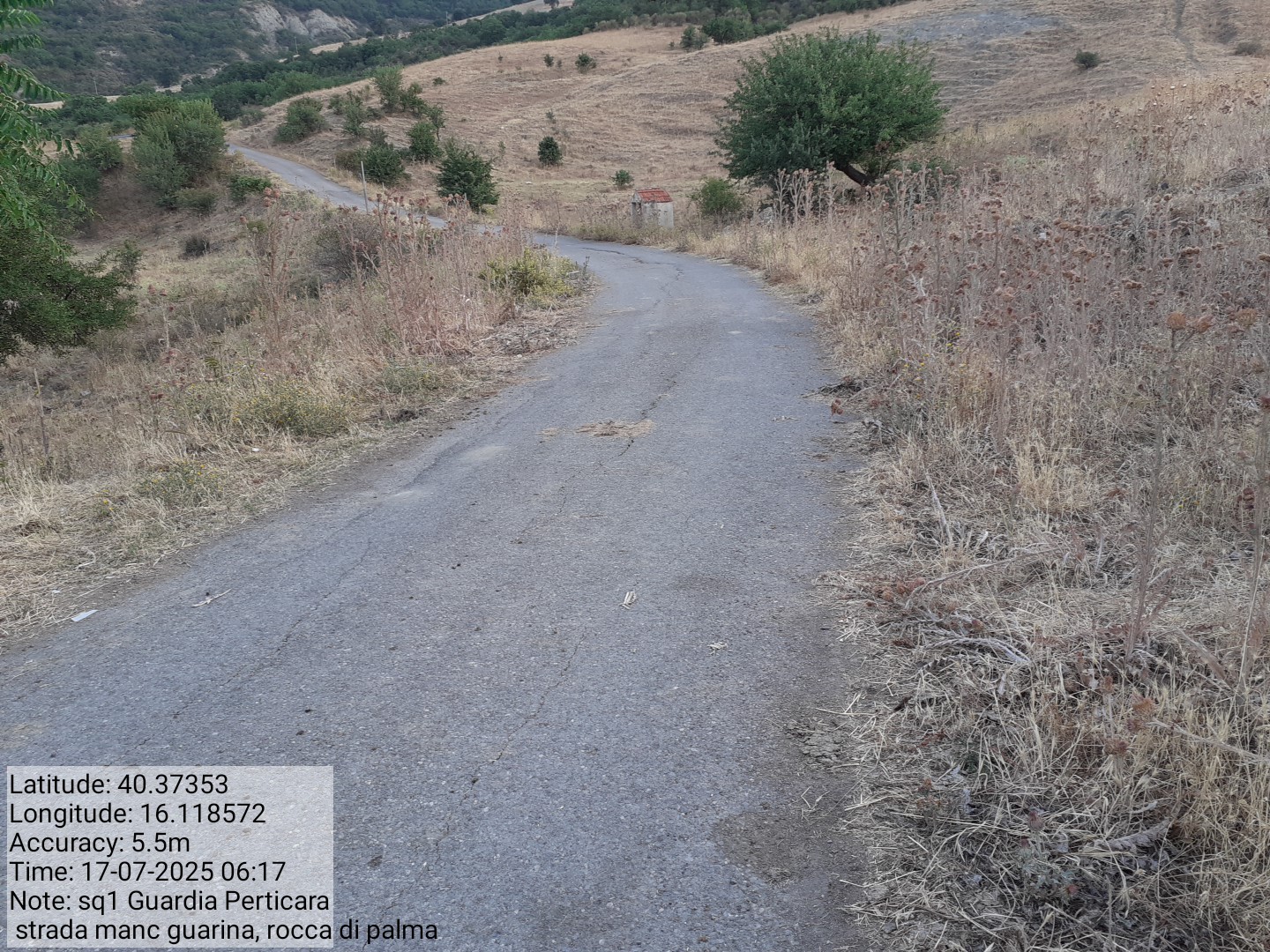 Galleria Fotografica Immagine