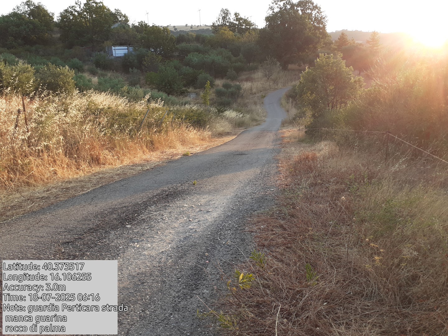 Galleria Fotografica Immagine