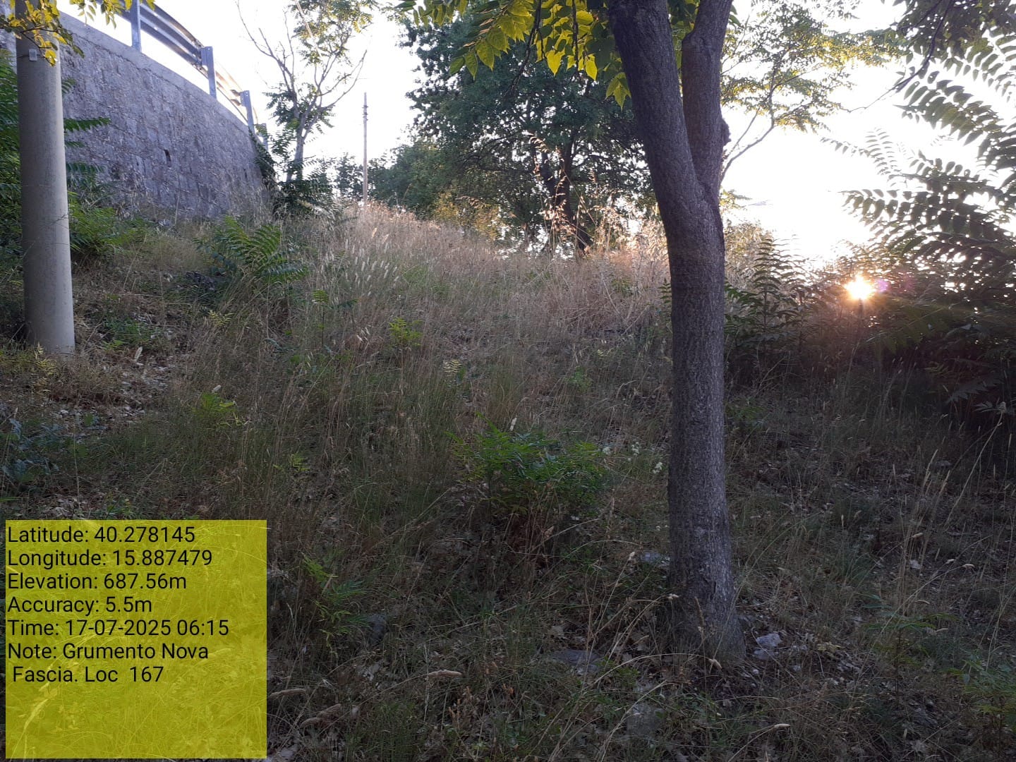 Galleria Fotografica Immagine