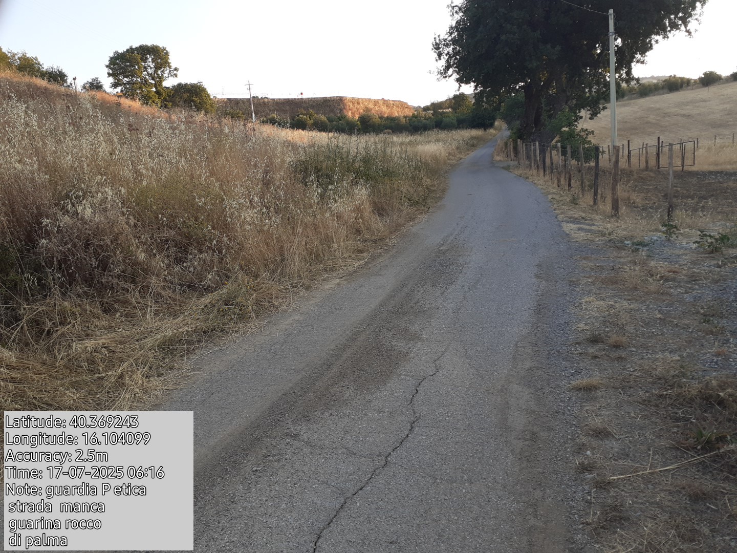 Galleria Fotografica Immagine