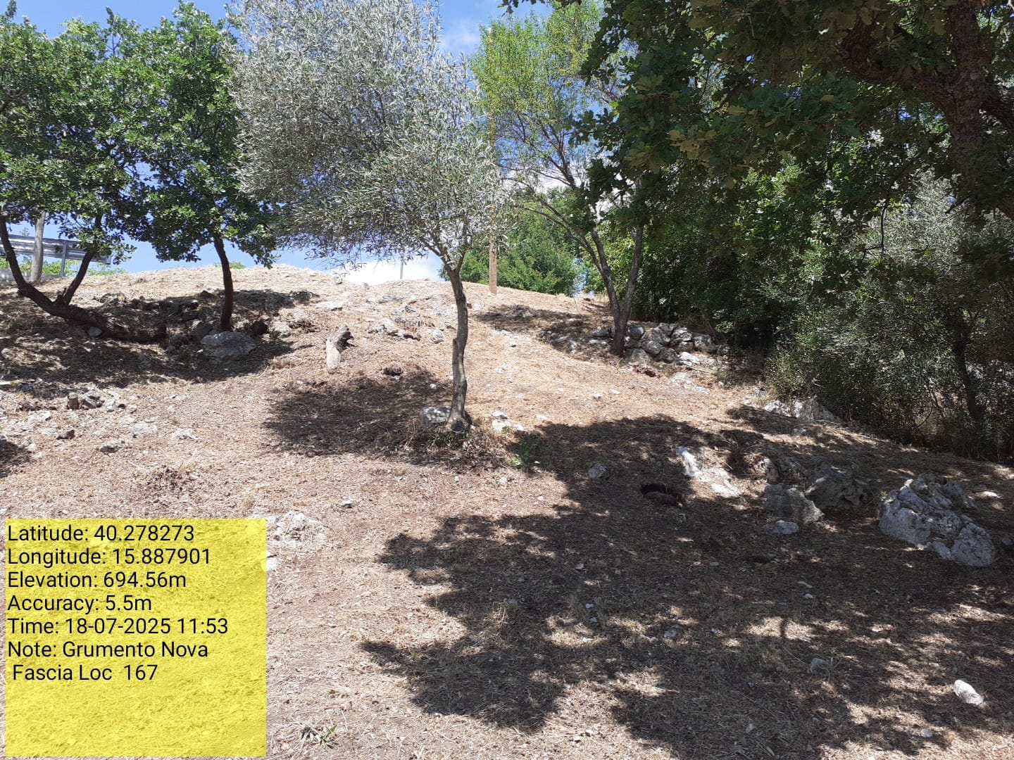 Galleria Fotografica Immagine