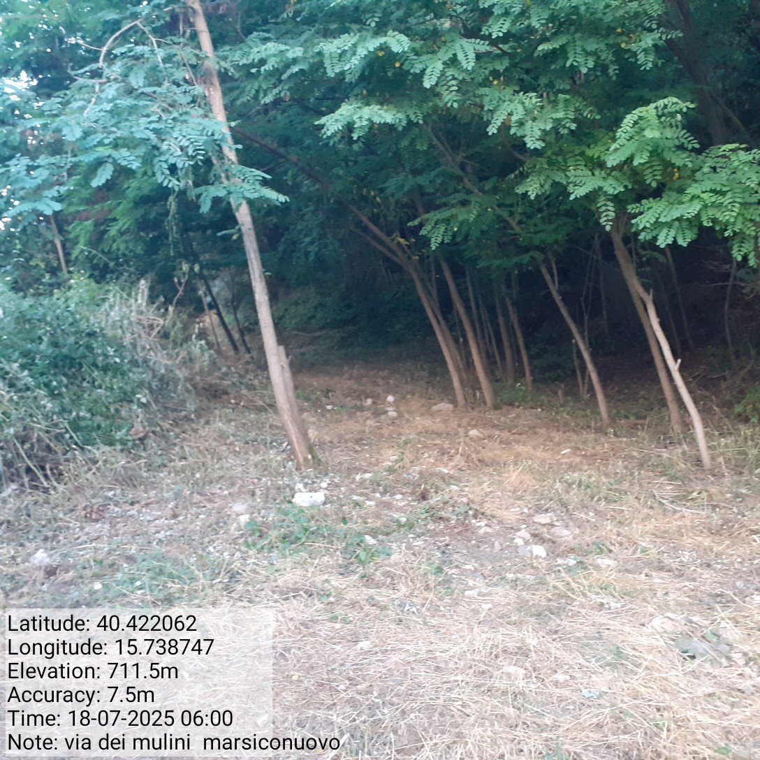 Galleria Fotografica Immagine