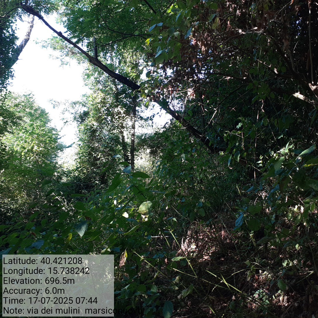 Galleria Fotografica Immagine