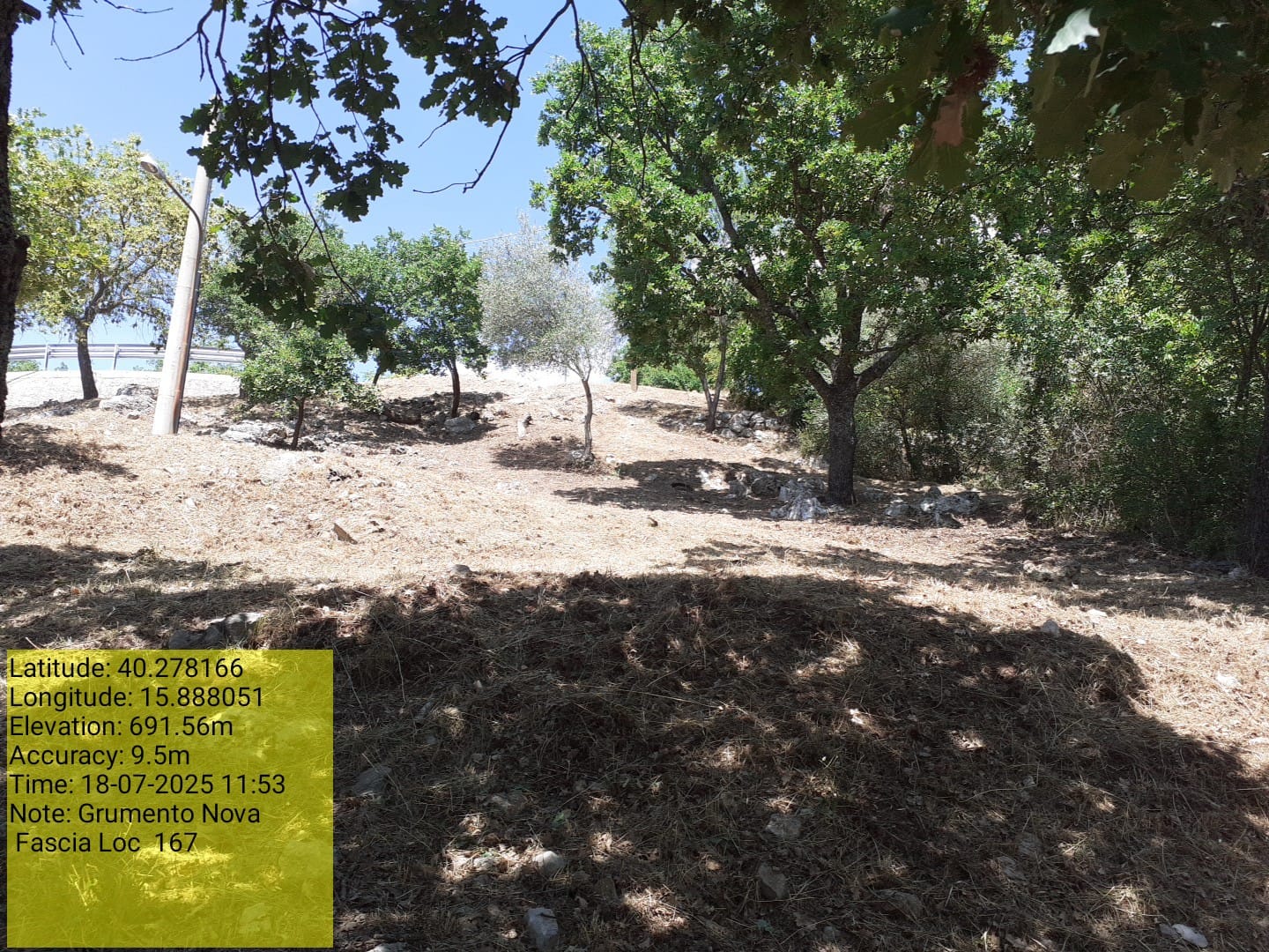 Galleria Fotografica Immagine