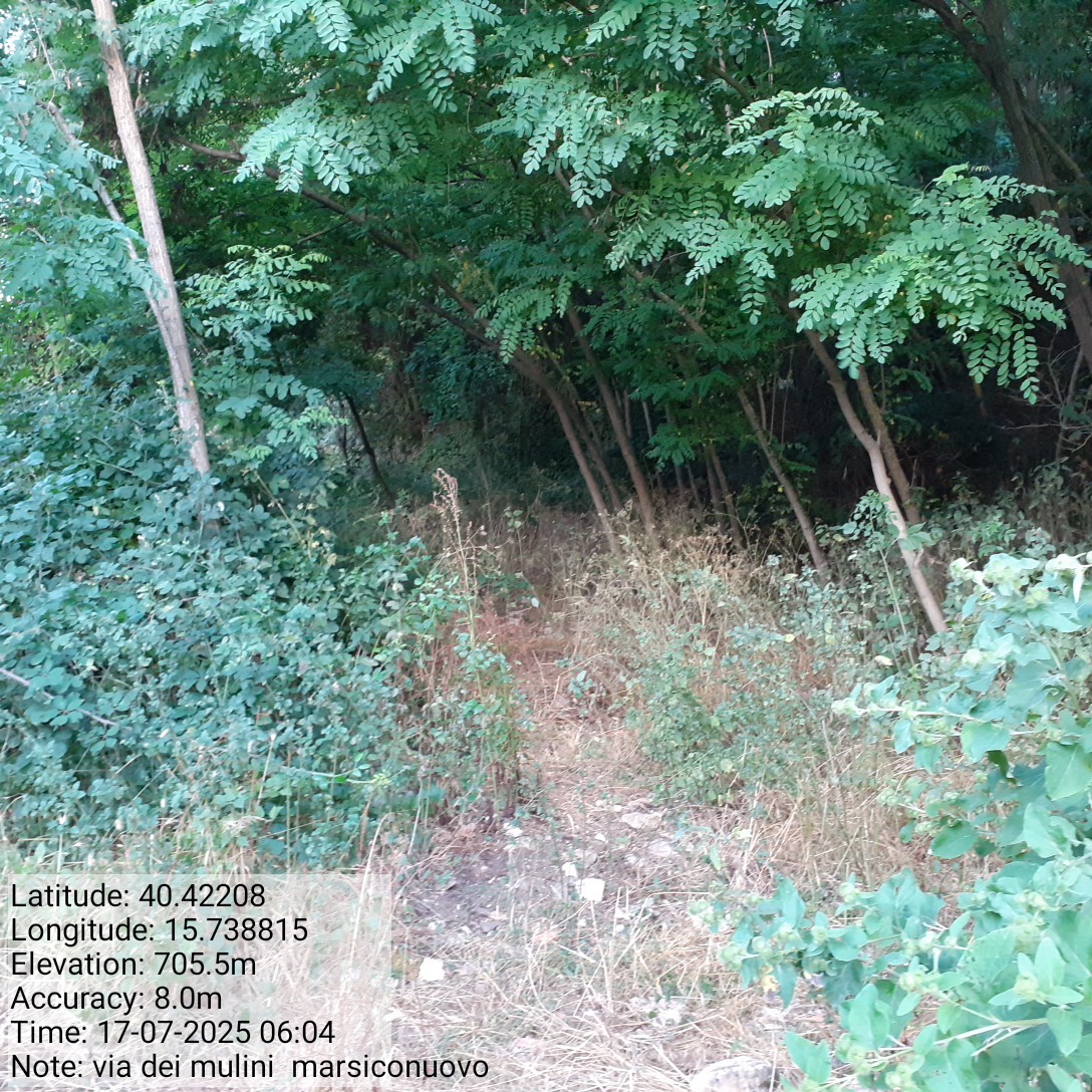 Galleria Fotografica Immagine