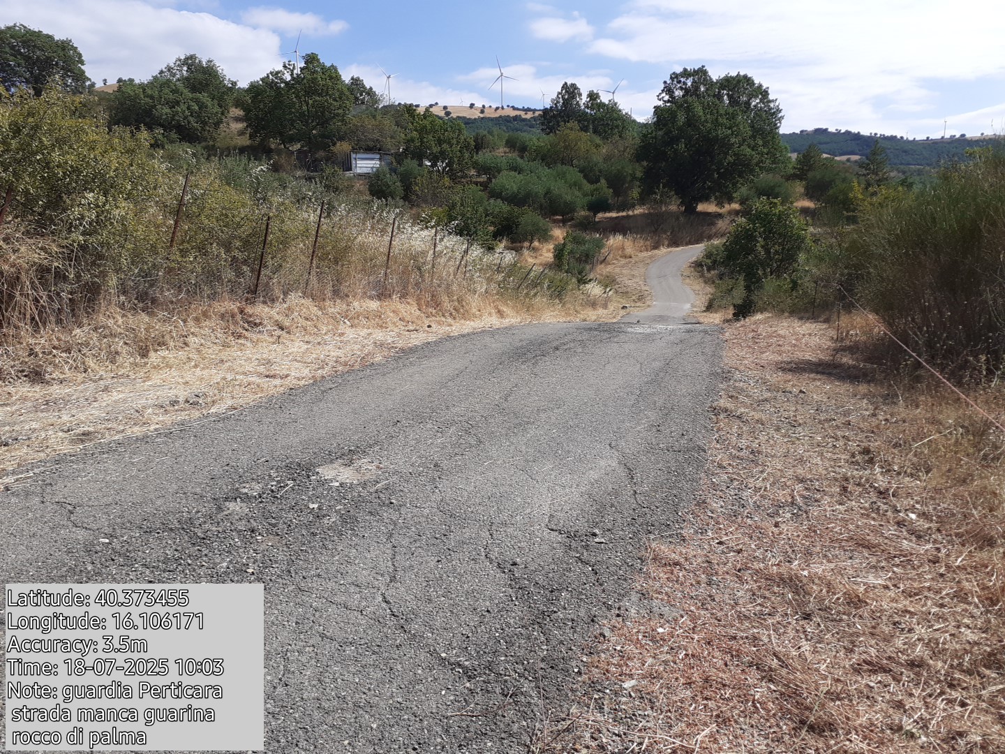 Galleria Fotografica Immagine