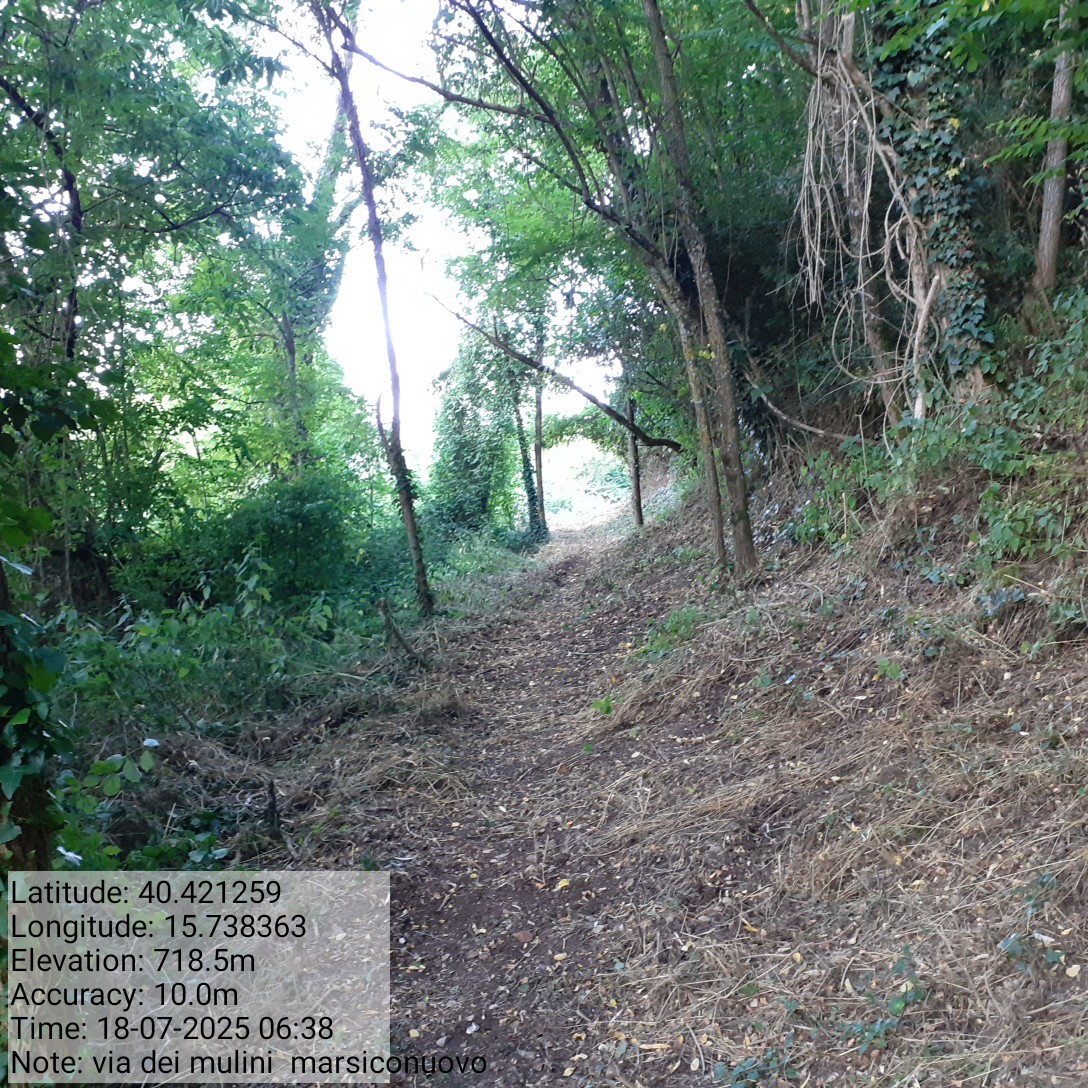 Galleria Fotografica Immagine