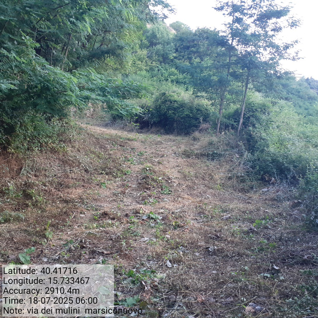 Galleria Fotografica Immagine