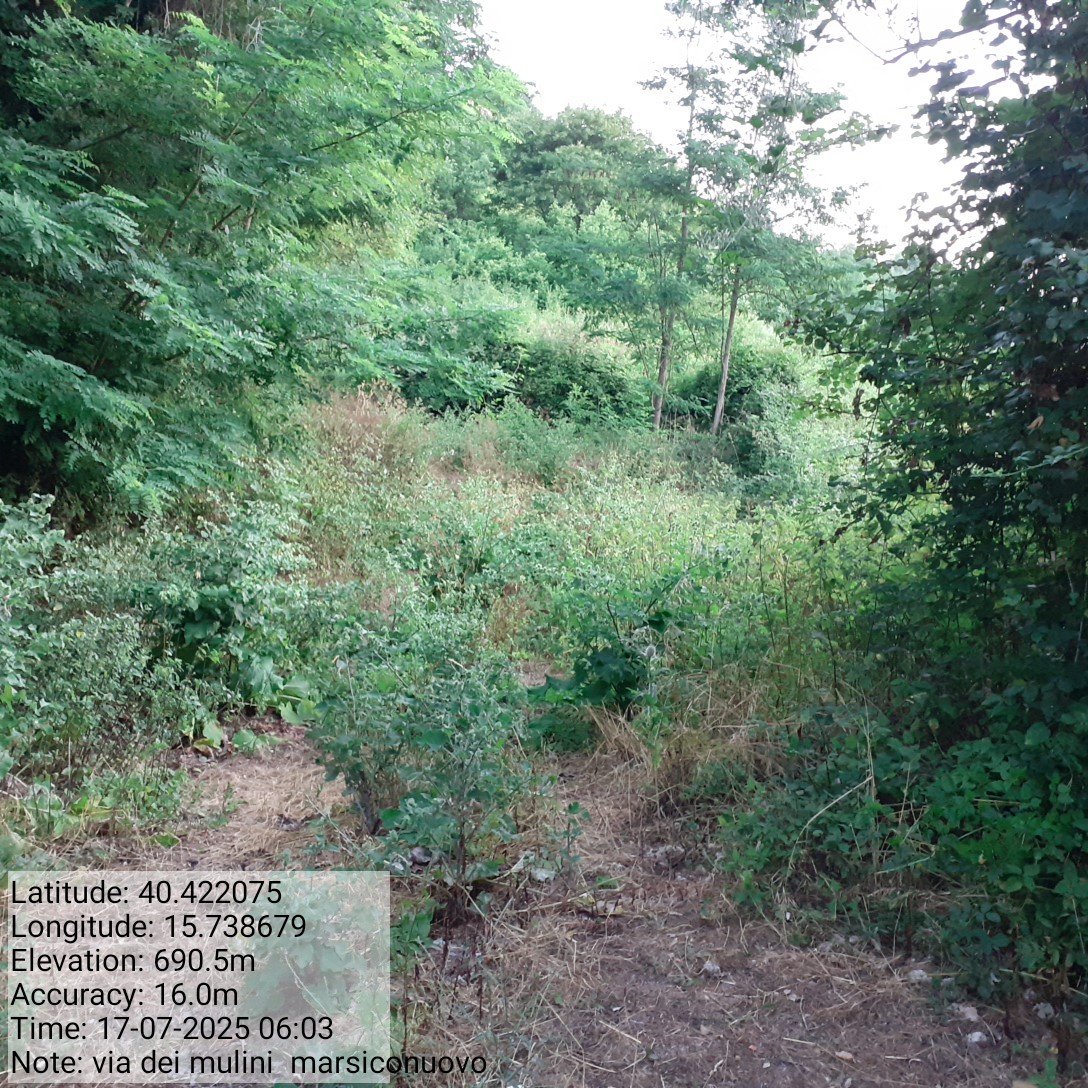 Galleria Fotografica Immagine