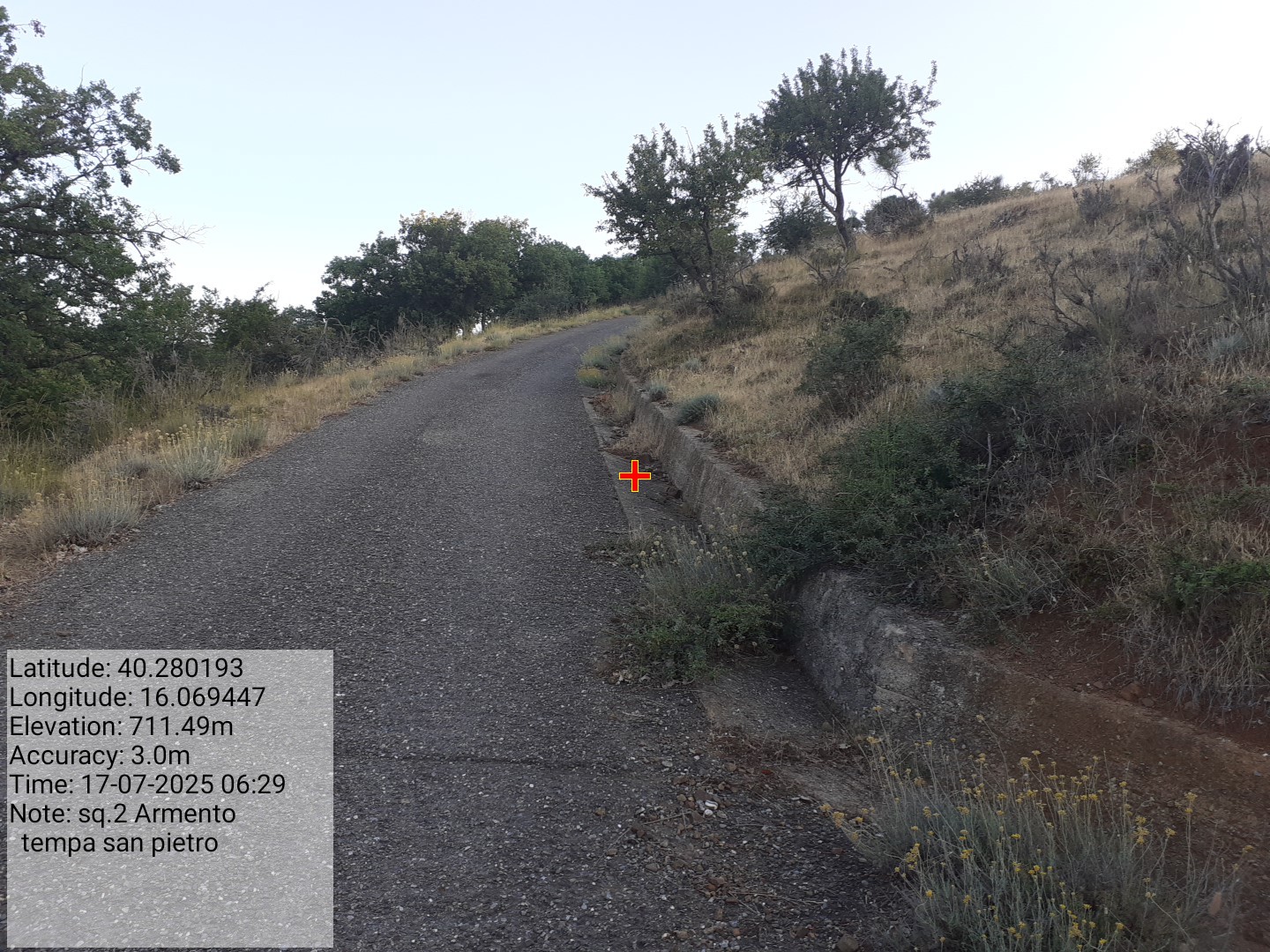 Galleria Fotografica Immagine