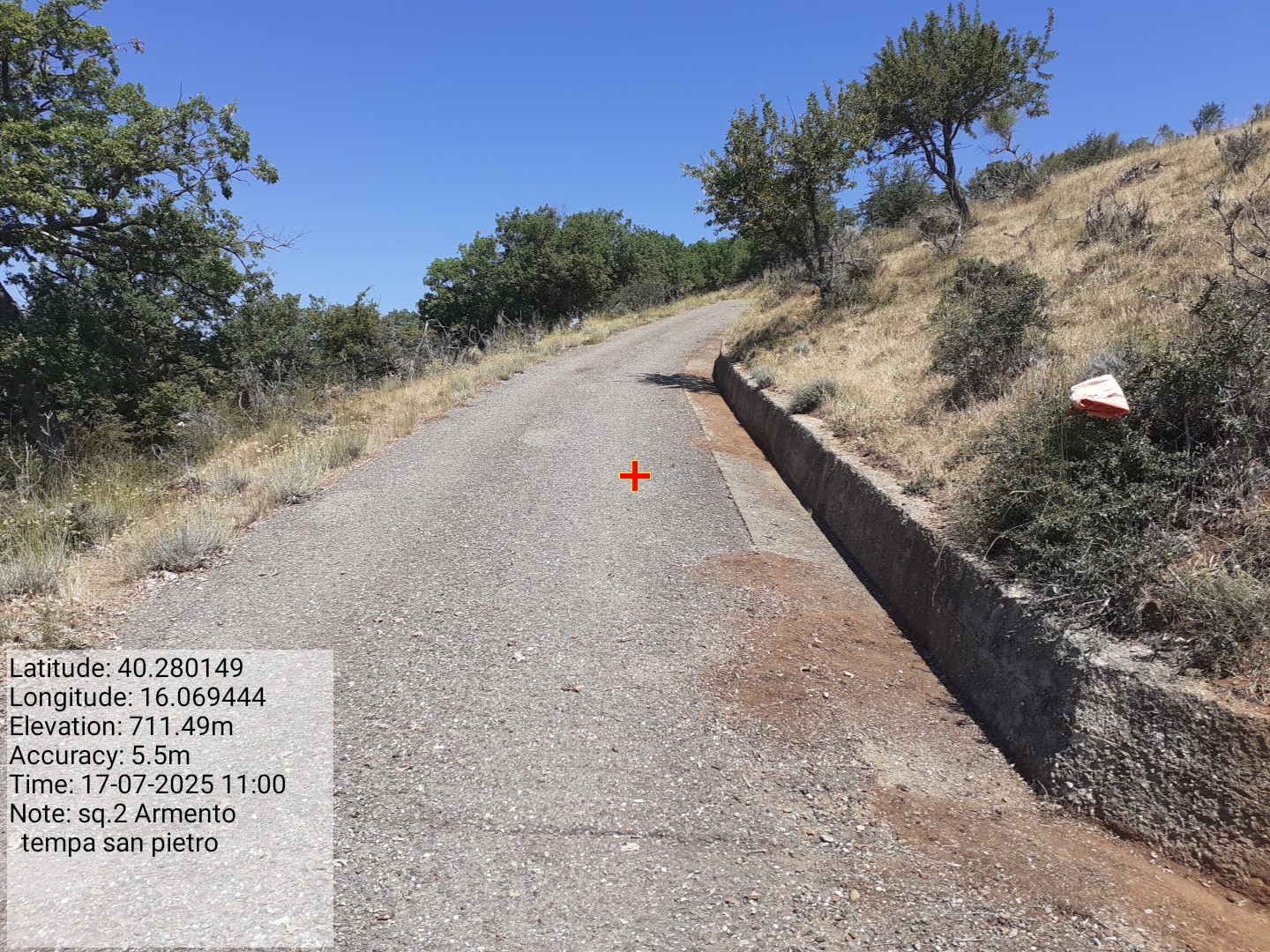 Galleria Fotografica Immagine