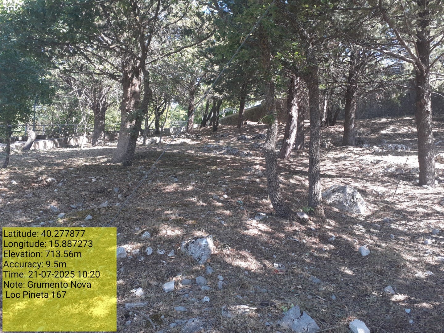 Galleria Fotografica Immagine