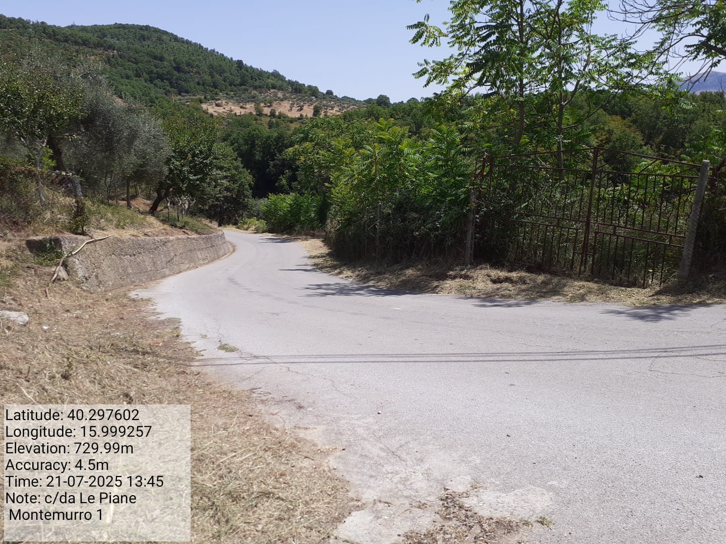 Galleria Fotografica Immagine