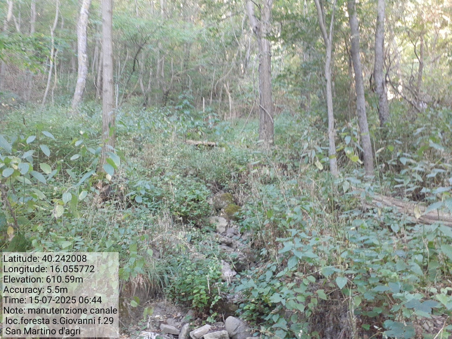 Galleria Fotografica Immagine