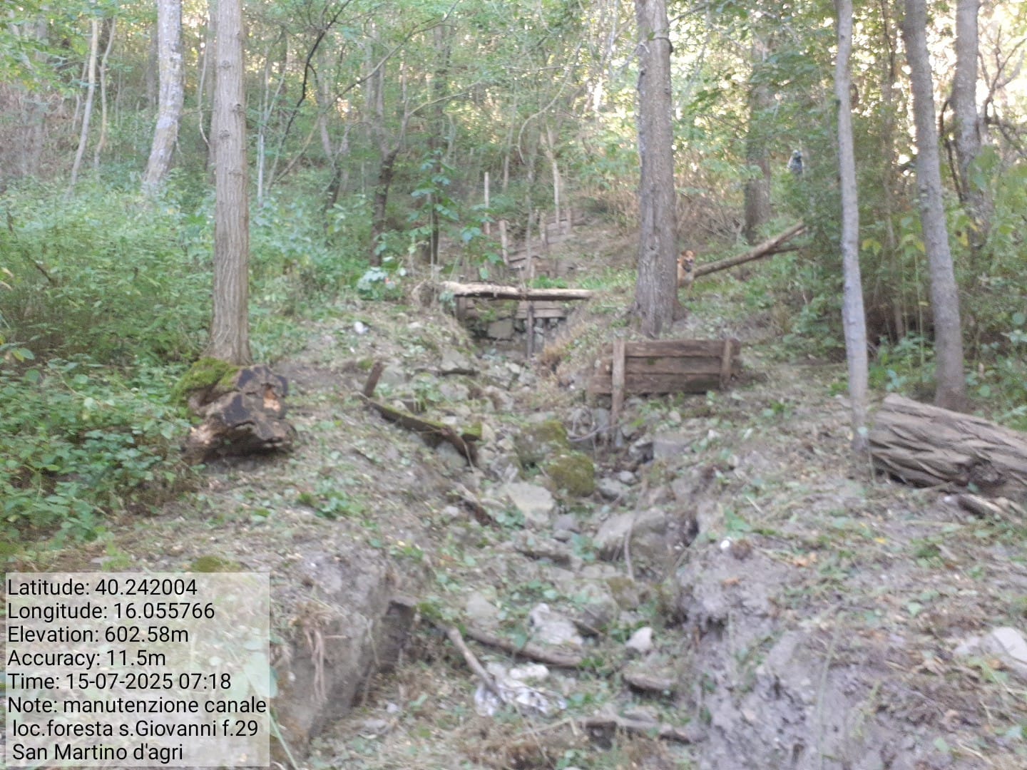 Galleria Fotografica Immagine