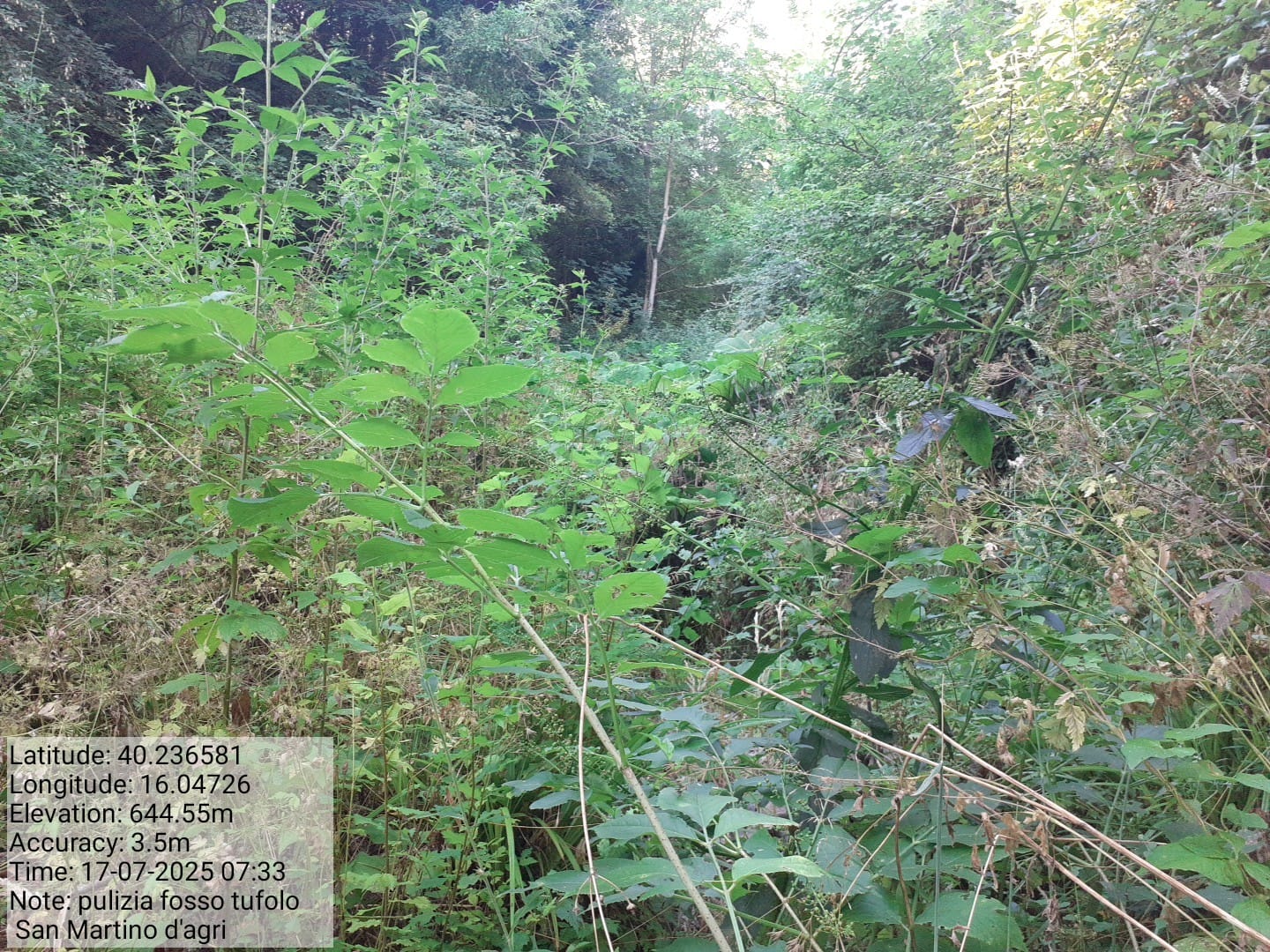 Galleria Fotografica Immagine