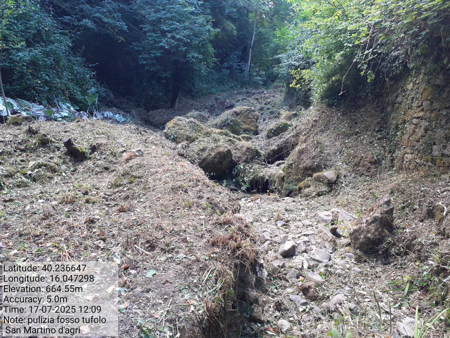 Galleria Fotografica Immagine