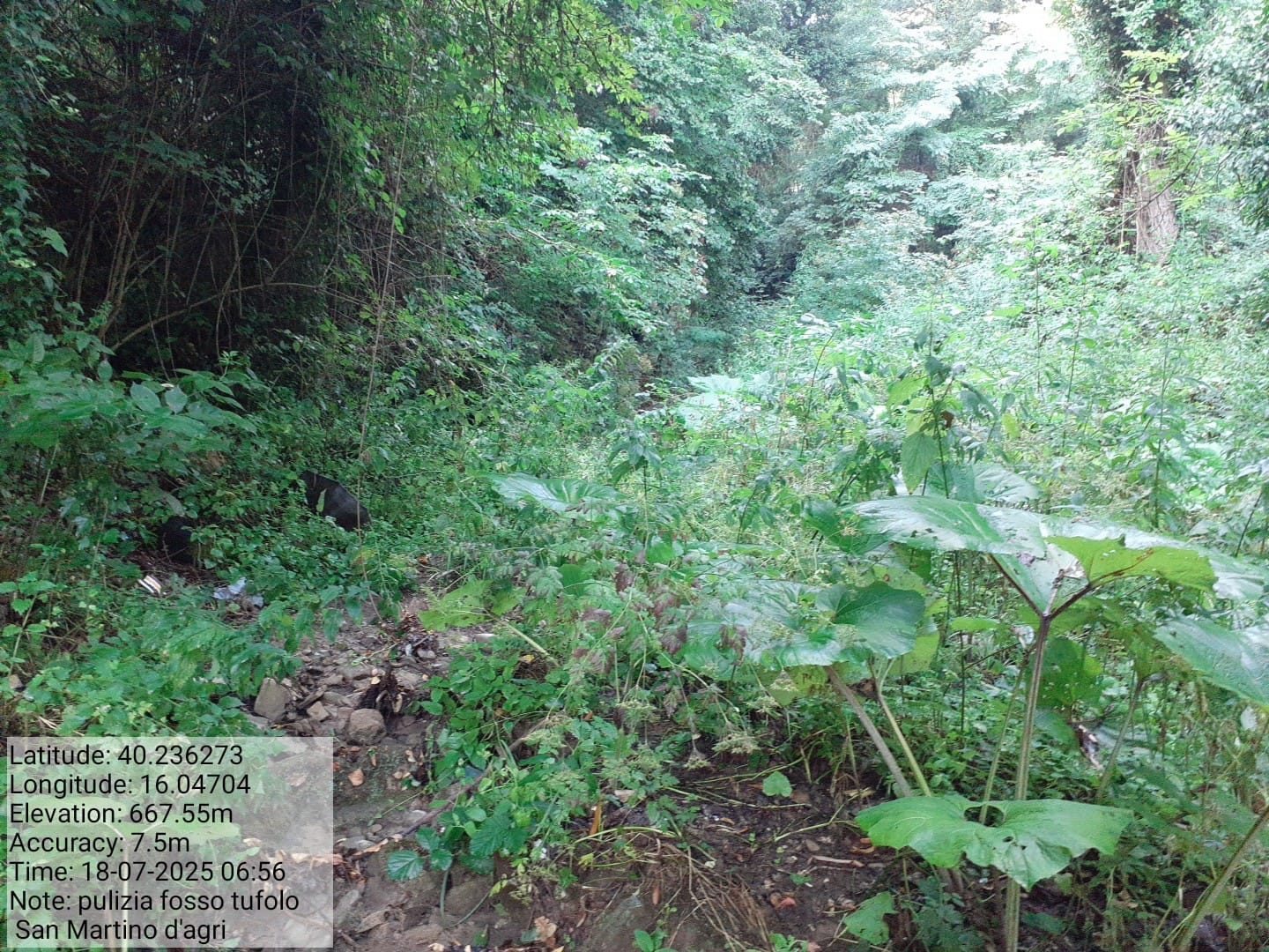 Galleria Fotografica Immagine