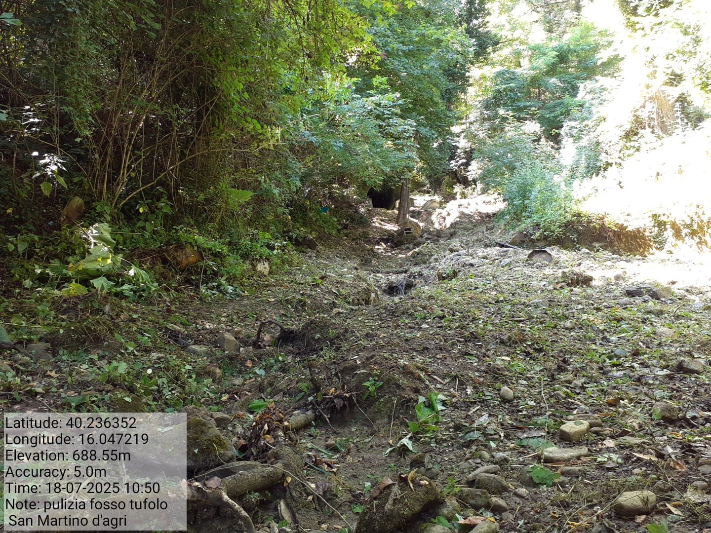 Galleria Fotografica Immagine