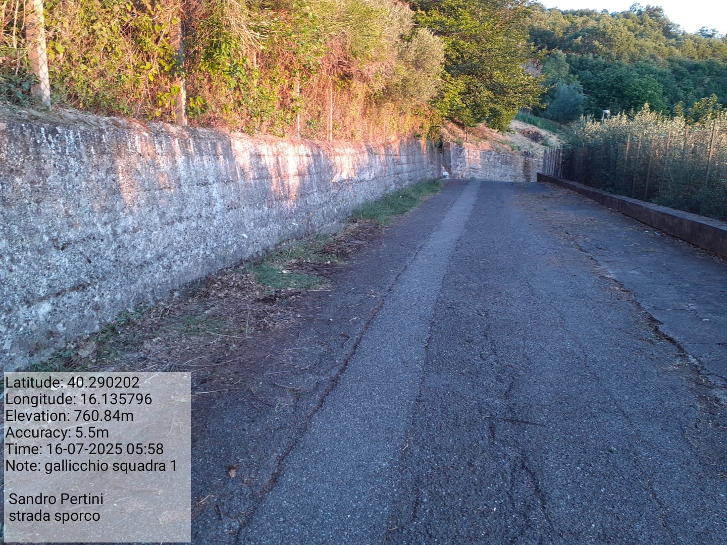 Galleria Fotografica Immagine