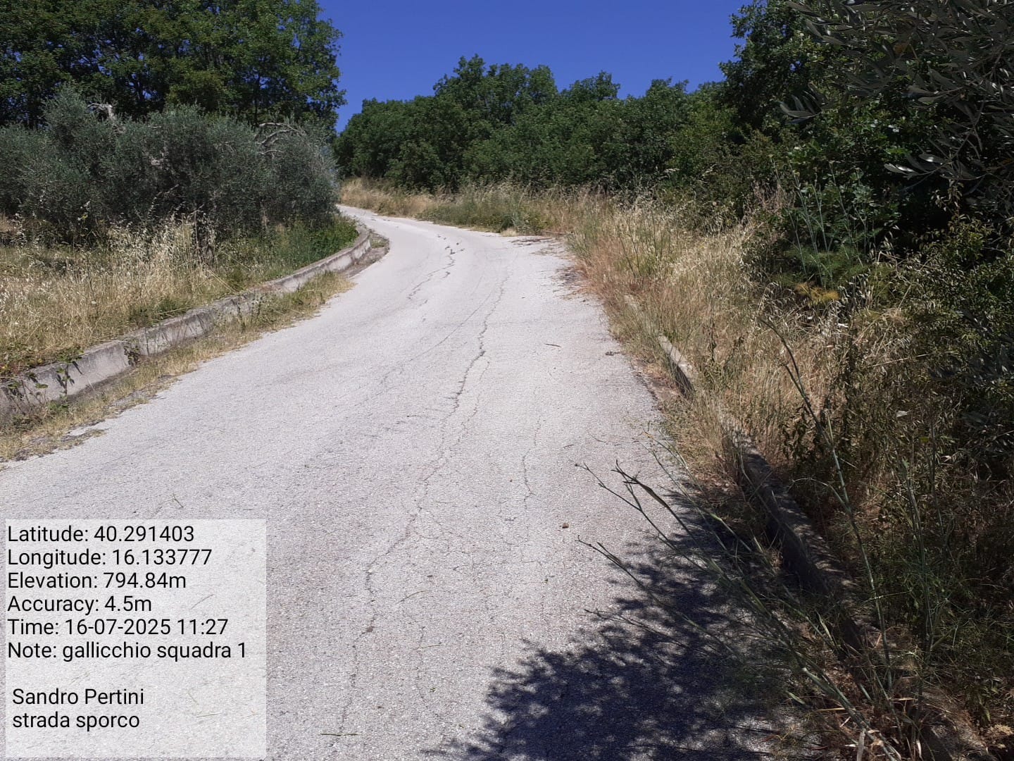 Galleria Fotografica Immagine