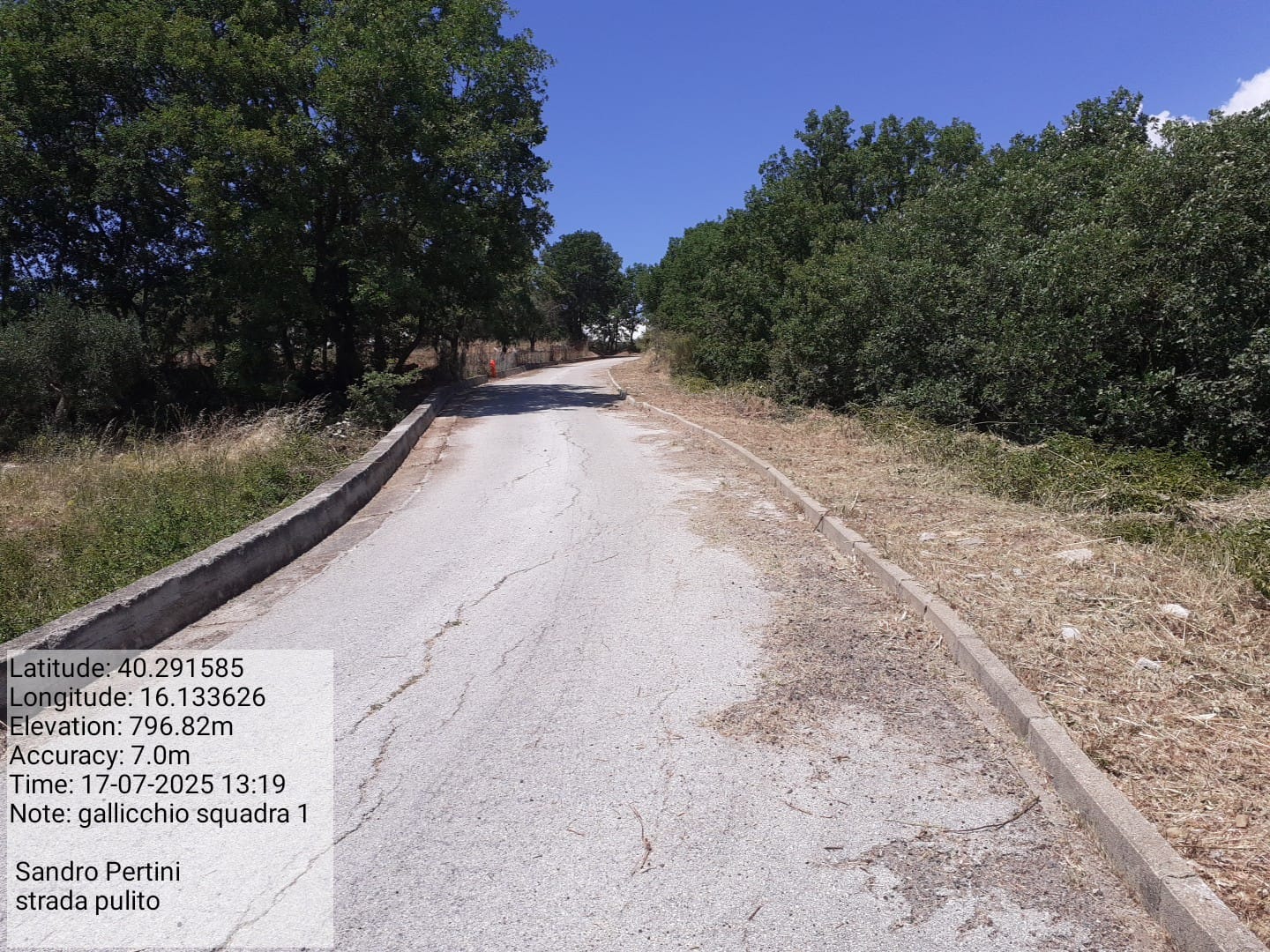 Galleria Fotografica Immagine