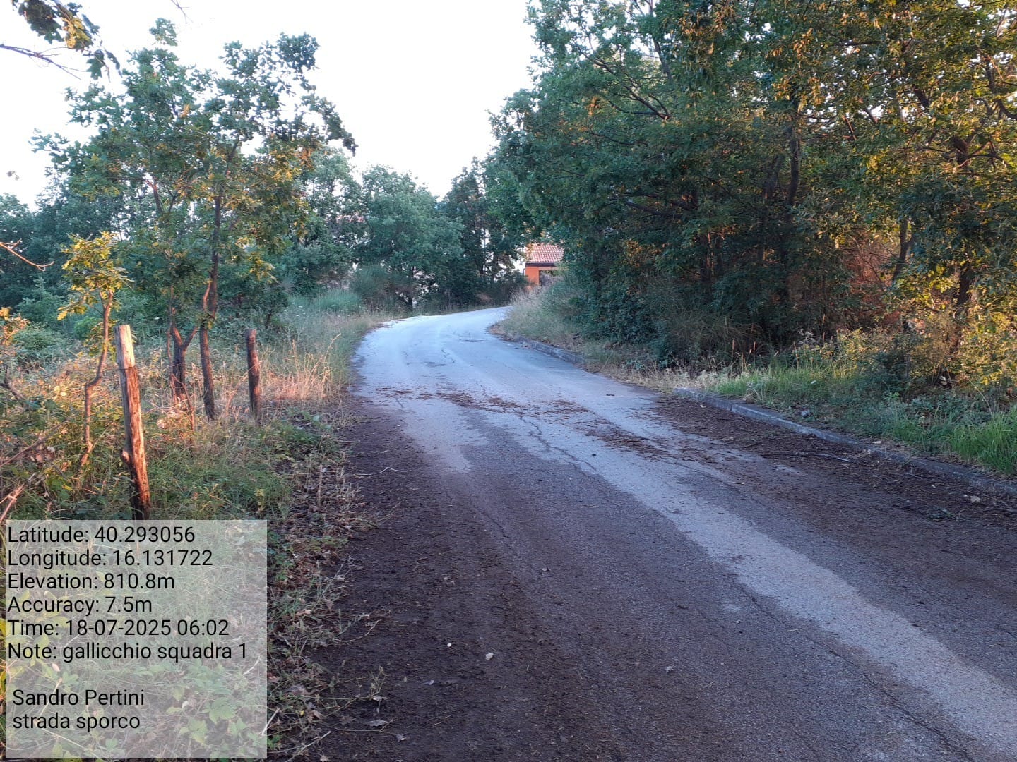 Galleria Fotografica Immagine