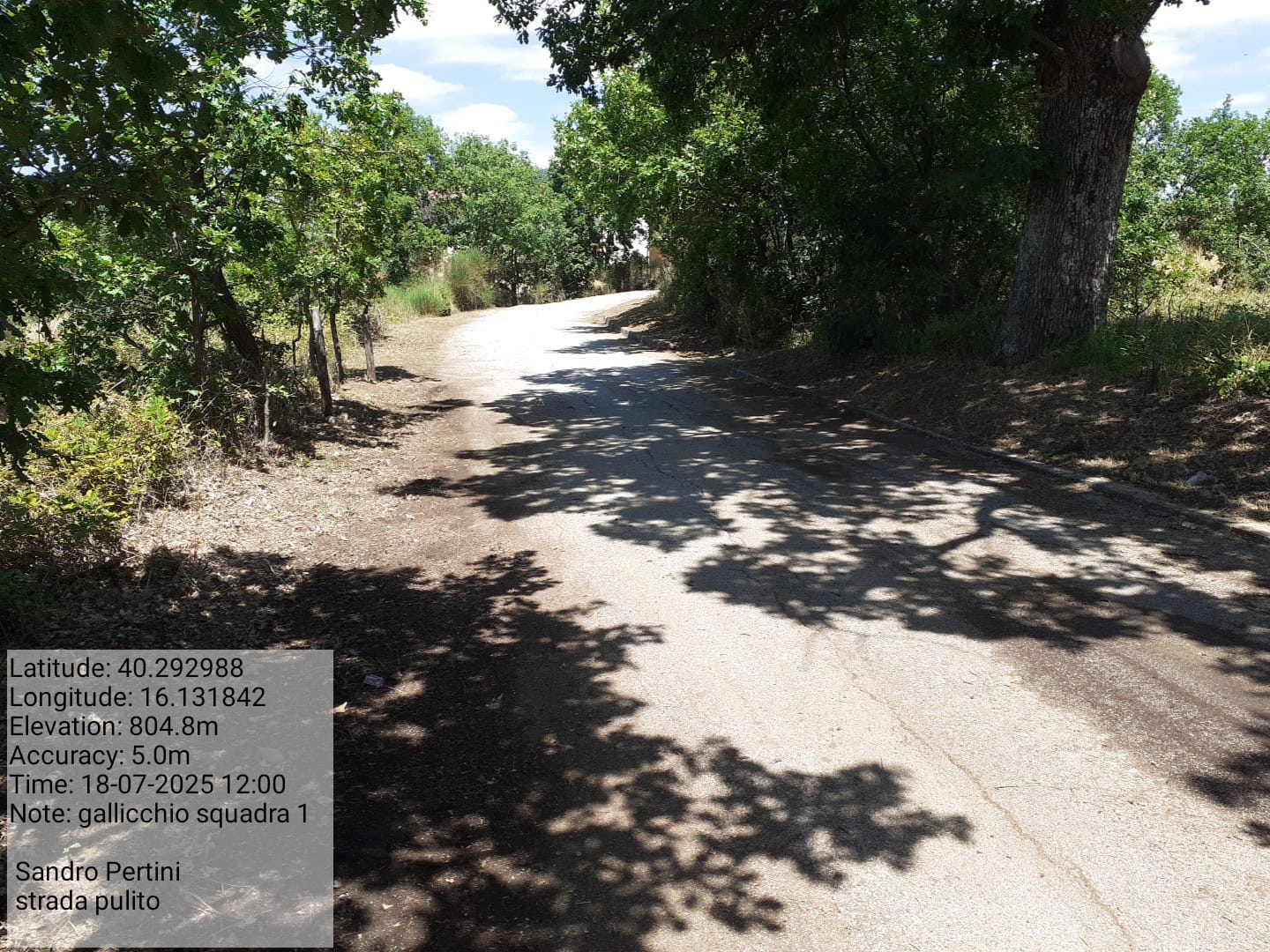 Galleria Fotografica Immagine