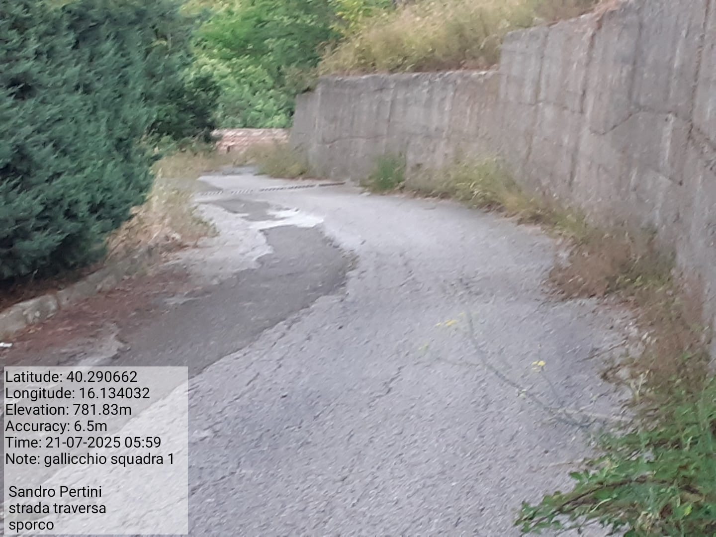 Galleria Fotografica Immagine