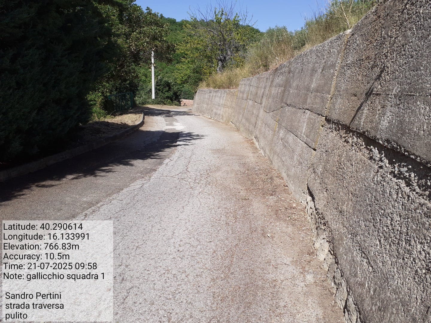 Galleria Fotografica Immagine