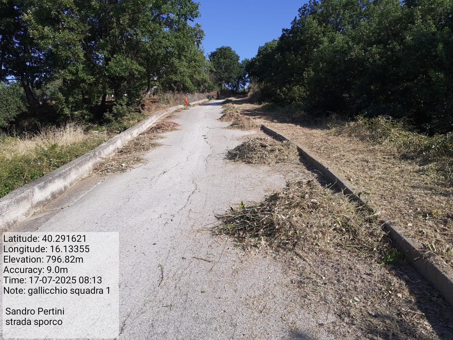 Galleria Fotografica Immagine