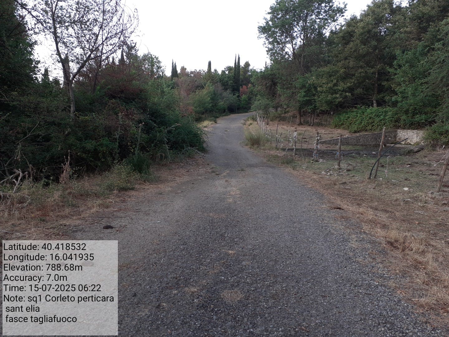 Galleria Fotografica Immagine