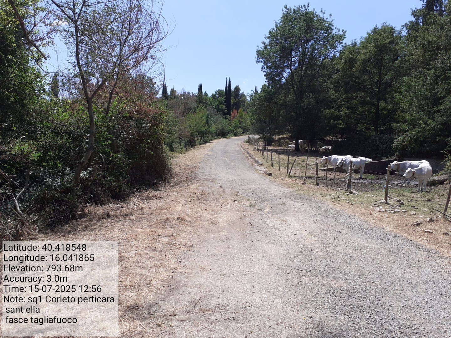 Galleria Fotografica Immagine